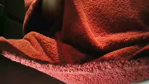 grapefruit online show from 03.01.25