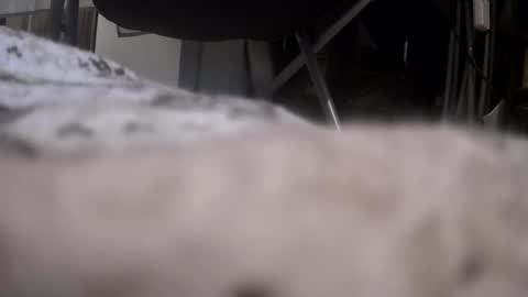 Get US to 1000 you wont be disapointed online show from 01.17.26