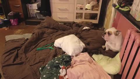 graylovescookies online show from 12.29.24