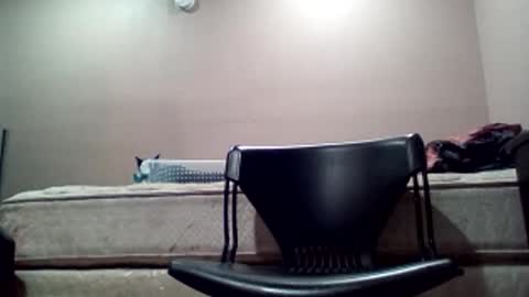 Jack online show from 02.19.26