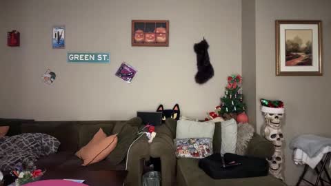 Snapshot of greenxxxqueen chatting on 11.24.25 SexQueen Nikki online show from 11.24.25