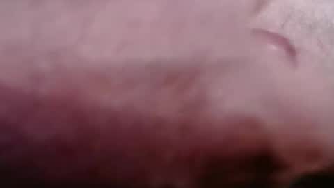 Greg online show from 02.21.26