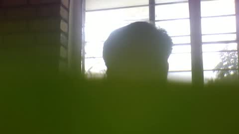 Grey Stud online show from 01.07.25