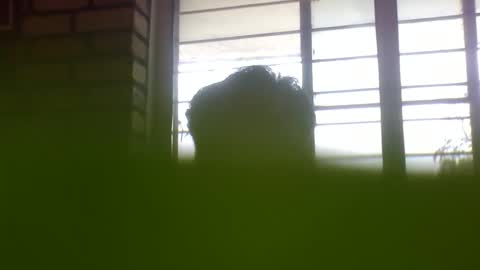 Grey Stud online show from 02.04.25