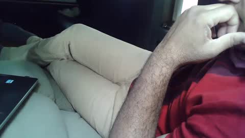 Grey Stud online show from 03.05.25