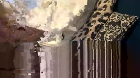 greymen2020 online show from 02.16.26