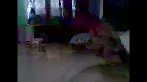 grittslappa online show from 11.11.25