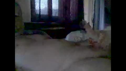 grittslappa online show from 11.14.25