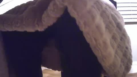 Snapshot of grower2153 chatting on 11.24.25 grower2153 online show from 11.24.25