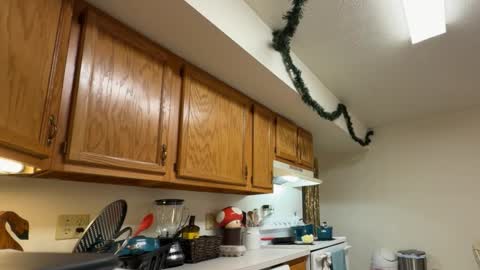 gucciboi4 online show from 11.23.25