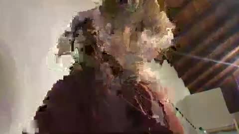 GugaBalls online show from 05.08.26