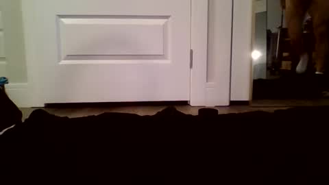 Guy Spartan online show from 01.12.26