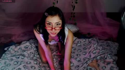 Hachi 3 online show from 07.15.26