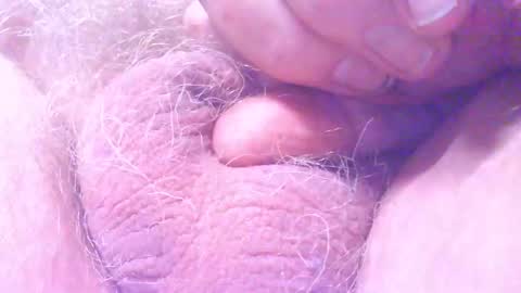 Snapshot of hagridthehorrible chatting on 03.18.26 hagridthehorrible online show from 03.18.26