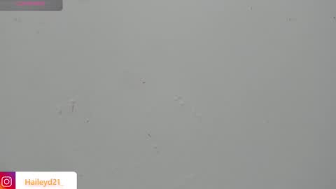 Hailey online show from 03.23.26