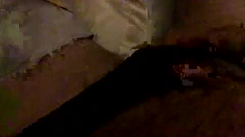 Bruce online show from 01.10.26