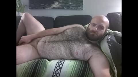 Hairiest Bear online show from 05.02.26