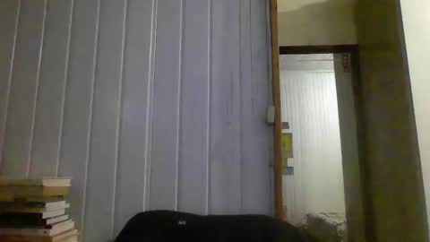 Snapshot of hairy_man_69_ chatting on 01.03.25 horny online show from 01.03.25