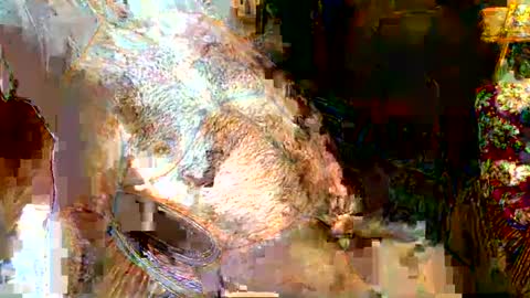 hairybear813 online show from 01.05.25