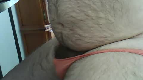 Snapshot of hairybeary1 chatting on 05.21.26 hairybeary1 online show from 05.21.26