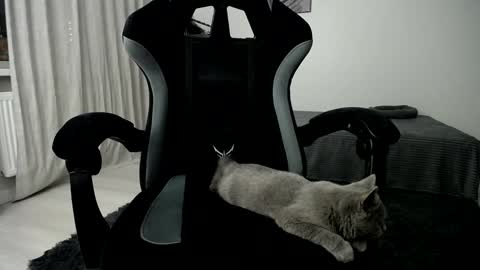 Snapshot of hairycuss chatting on 01.10.25 Adam online show from 01.10.25