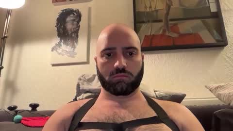 Snapshot of hairyleatherguy chatting on 11.02.25 Hairy Guy online show from 11.02.25