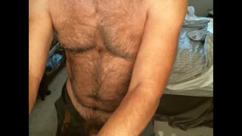 Hairy pecs online show from 09.12.25