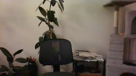 Snapshot of hairypussylover089 chatting on 07.12.26 hairypussylover089 online show from 07.12.26