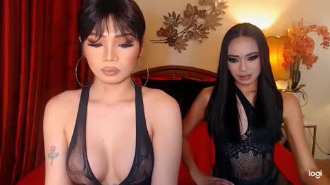 YOUR SIDECHIC HAILEY online show from 02.06.26