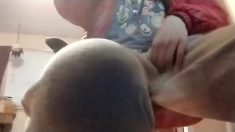 halo3489 online show from 03.02.26