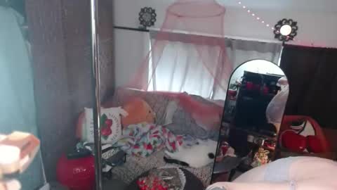 halovalentine online show from 05.05.26