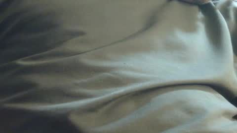 Snapshot of hamhead71 chatting on 12.01.24 hamhead71 online show from 12.01.24