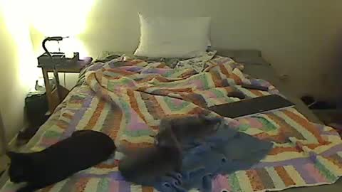 Snapshot of hammerthatthang73 chatting on 10.18.25 hammerthatthang73 online show from 10.18.25