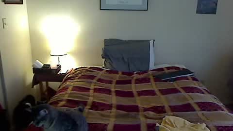 hammerthatthang73 online show from 03.20.26