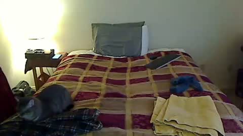 hammerthatthang73 online show from 03.24.26