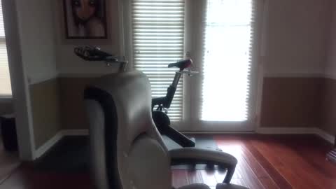 Han online show from 02.08.25