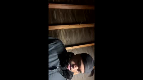 Snapshot of handsomeda1 chatting on 01.19.25 handsomeda1 online show from 01.19.25
