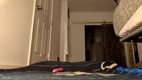 Handydick7373 online show from 05.24.26