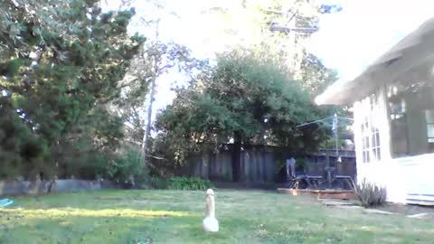 HandySmurf online show from 12.04.24