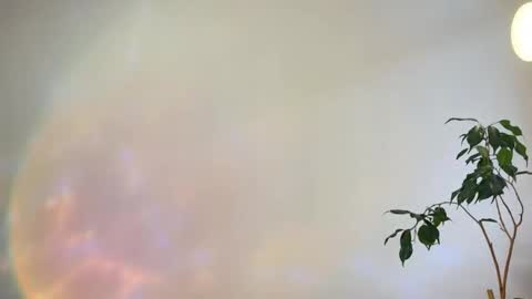 Snapshot of hannah_levis_ chatting on 02.25.26 hannah levis online show from 02.25.26