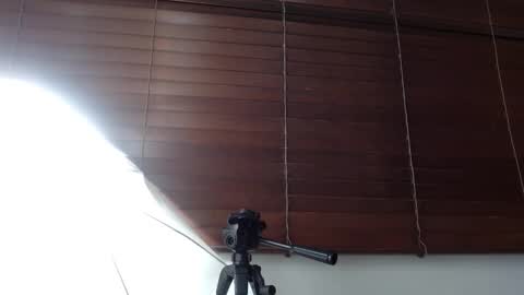 Hanna Venza online show from 03.08.26