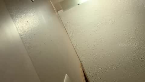 meatwad online show from 12.09.24