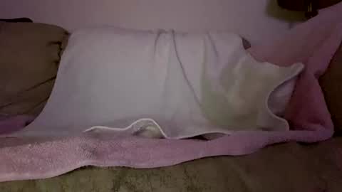 Snapshot of hardcock2622 chatting on 02.11.26 Slim West Cox online show from 02.11.26