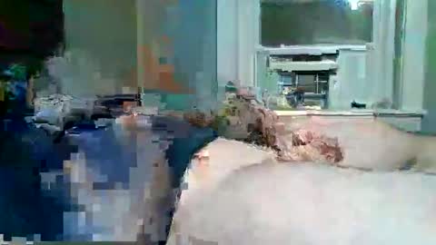 Snapshot of hardcockoncam22 chatting on 11.30.25 cervixpainter25 online show from 11.30.25