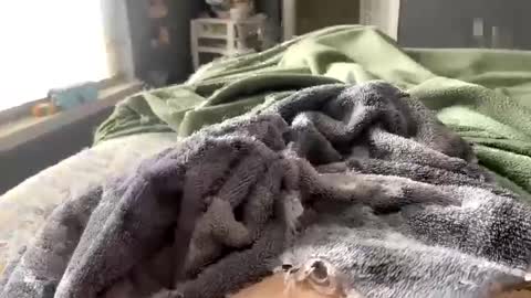 hardnthickm55 online show from 02.14.25