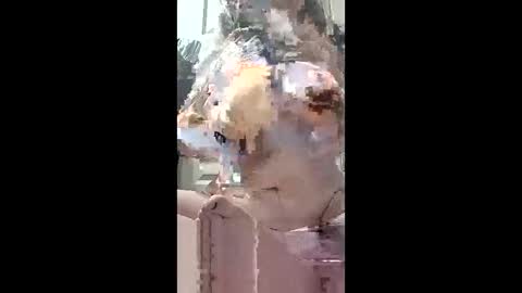 harleen848 online show from 05.10.26