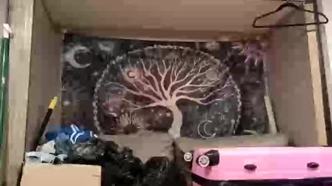 harlleymiller673 online show from 10.17.25