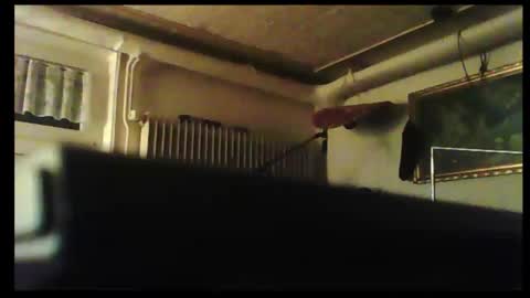 Snapshot of hartwichser1 chatting on 12.08.24 hot n  nasty online show from 12.08.24