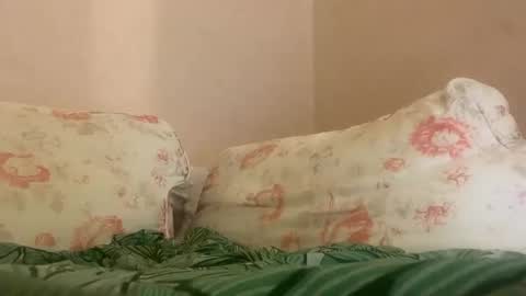 Snapshot of hattydee chatting on 01.27.25 dee online show from 01.27.25