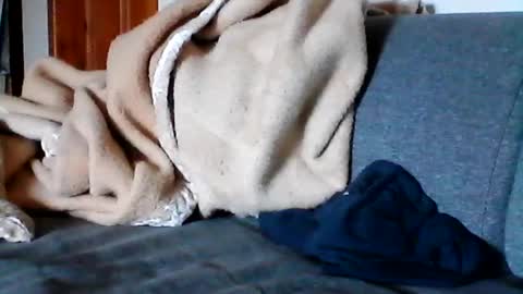 havier282874 online show from 06.17.26